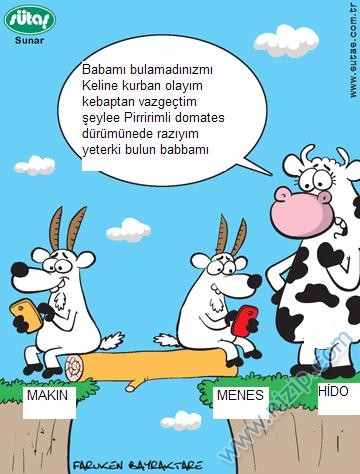 Sütaş karikatürleri Nizip.com'da Olursa.