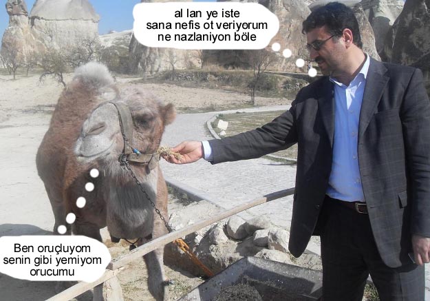 Sütaş karikatürleri Nizip.com'da Olursa.