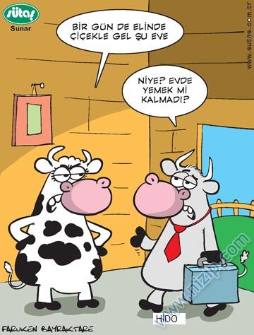 Sütaş karikatürleri Nizip.com'da Olursa.