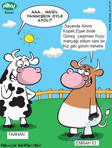 Sütaş karikatürleri Nizip.com'da Olursa.