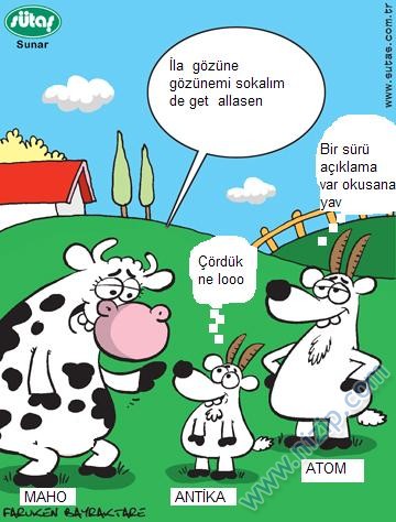Sütaş karikatürleri Nizip.com'da Olursa.
