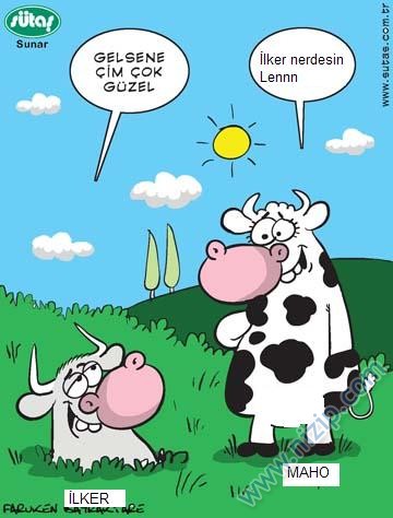Sütaş karikatürleri Nizip.com'da Olursa.