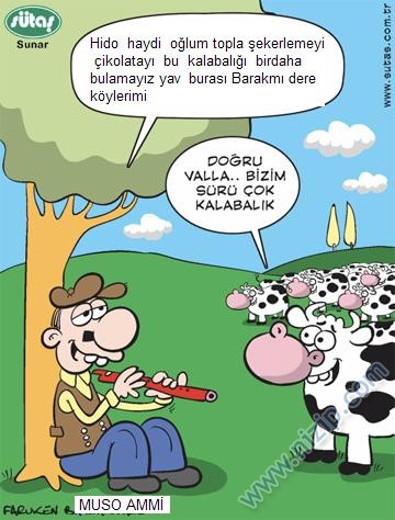 Sütaş karikatürleri Nizip.com'da Olursa.