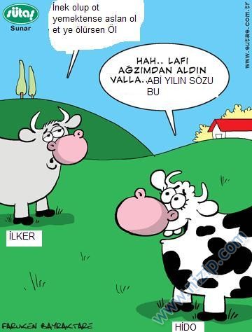 Sütaş karikatürleri Nizip.com'da Olursa.