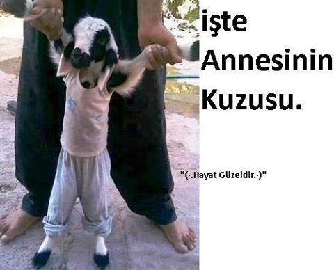ÜÇÜ  bİr  arada olursadami  kesİlmez