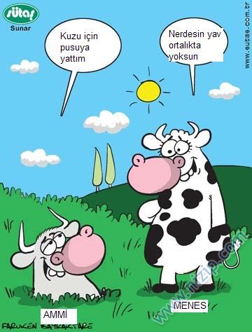 Sütaş karikatürleri Nizip.com'da Olursa.