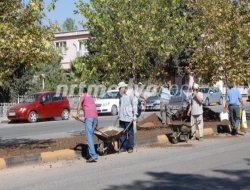 Nizip belediyesi\'nden çimlendirme çalışması