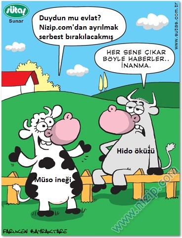 Sütaş karikatürleri Nizip.com'da Olursa.