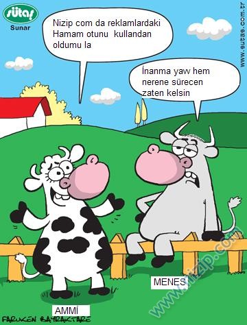 Sütaş karikatürleri Nizip.com'da Olursa.
