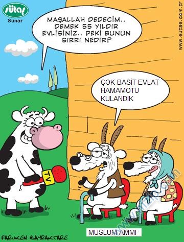Sütaş karikatürleri Nizip.com'da Olursa.