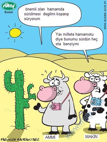 Sütaş karikatürleri Nizip.com'da Olursa.