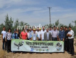 Akademisyenler, Nizip'te Zeytinle İlgili İnceleme ... Akademisyenler, Nizip'te Zeytinle İlgili İnceleme ...