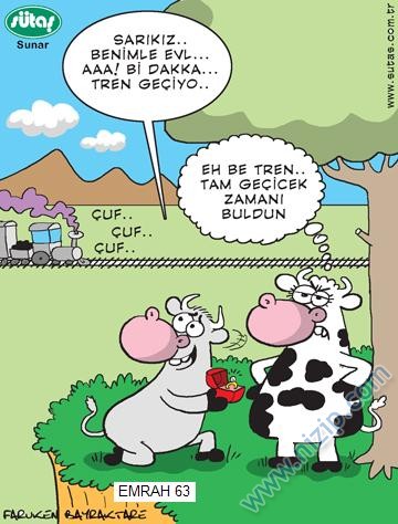 Sütaş karikatürleri Nizip.com'da Olursa.
