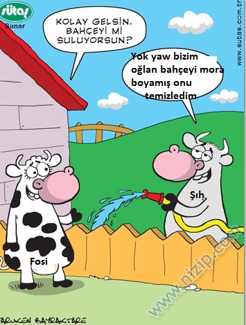 Sütaş karikatürleri Nizip.com'da Olursa.