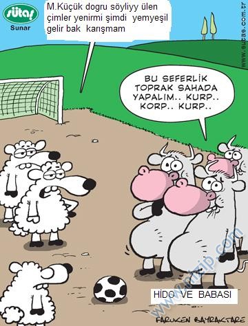 Sütaş karikatürleri Nizip.com'da Olursa.