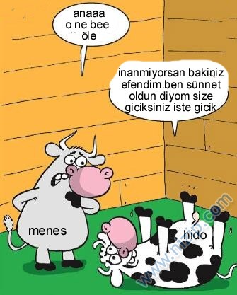 Sütaş karikatürleri Nizip.com'da Olursa.