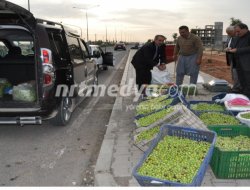 Yol Üzerinde Zeytin Satışları Yol Üzerinde Zeytin Satışları