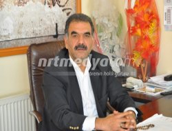 Zeytin Hasadı Başladı Zeytin Hasadı Başladı