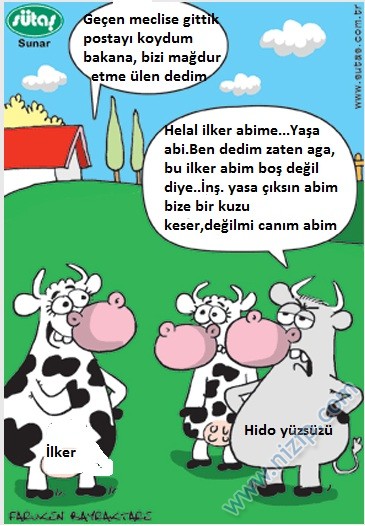 Sütaş karikatürleri Nizip.com'da Olursa.