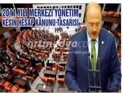 2011 yılı merkezi yönetim kesin hesap kanunu tasarısı