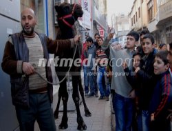 Deve ile Nizip Şehir Turu Deve ile Nizip Şehir Turu
