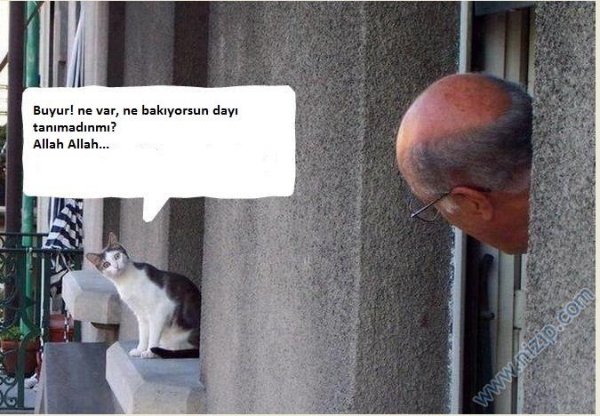 Her güne bir komiklik!.. :))