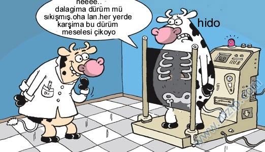 Sütaş karikatürleri Nizip.com'da Olursa.