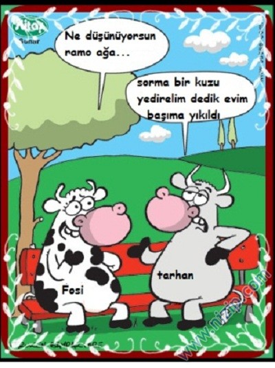 Sütaş karikatürleri Nizip.com'da Olursa.