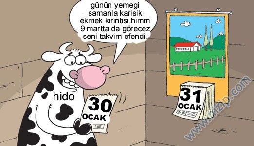 Sütaş karikatürleri Nizip.com'da Olursa.