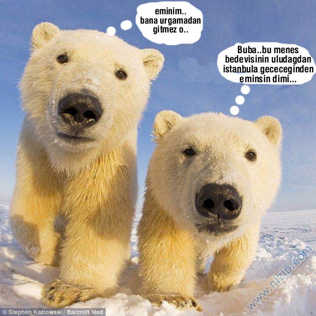 Sütaş karikatürleri Nizip.com'da Olursa.