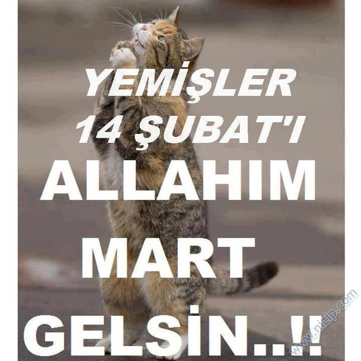 14 Şubat Sevgililer Günü Hazırlığı