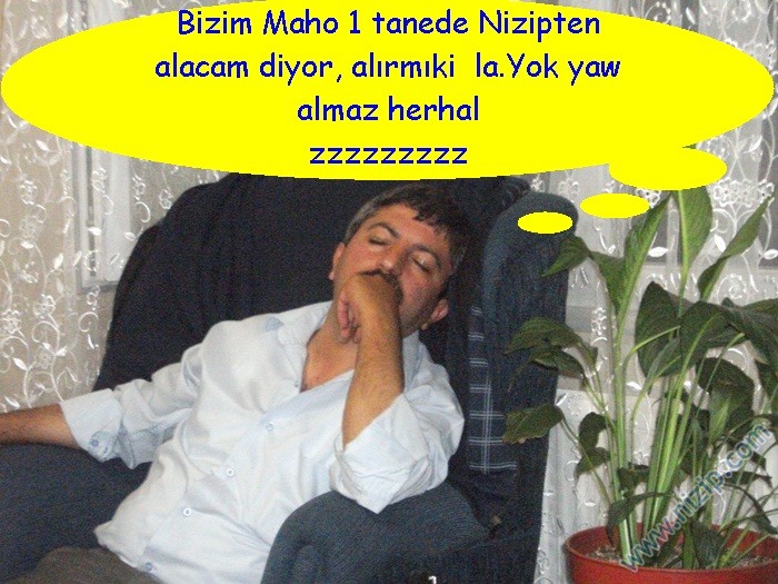 mkucukun rüyası