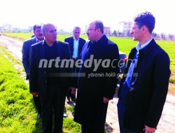 Milletvekili Sarı Karkamış'ta İnceleme Yaptı
