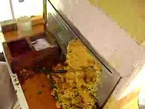 Video: nohut dürümü nizip nohutu nohutçu usta