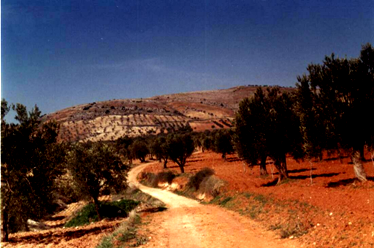 Budam Zamanı Budam Zamanı