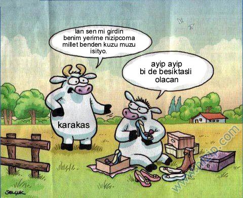 Sütaş karikatürleri Nizip.com'da Olursa.