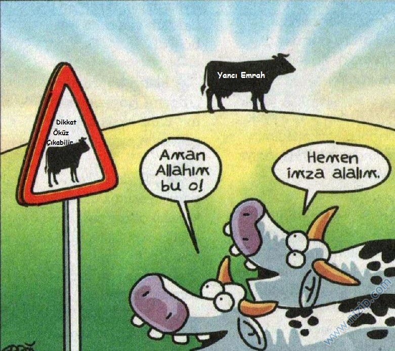 Sütaş karikatürleri Nizip.com'da Olursa.
