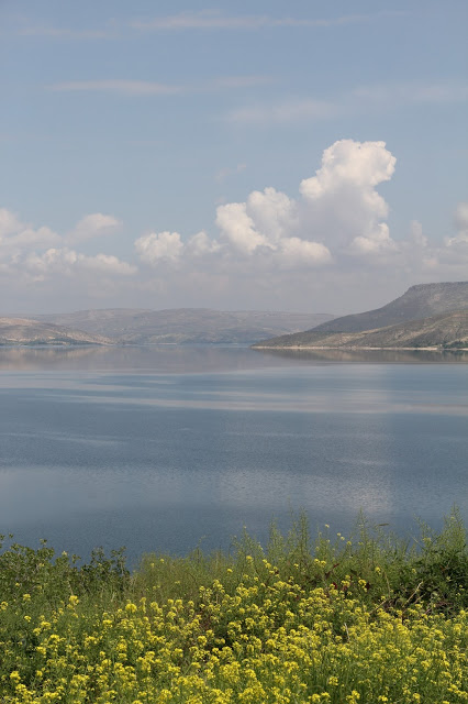 evimi seviyorum ZEUGMA