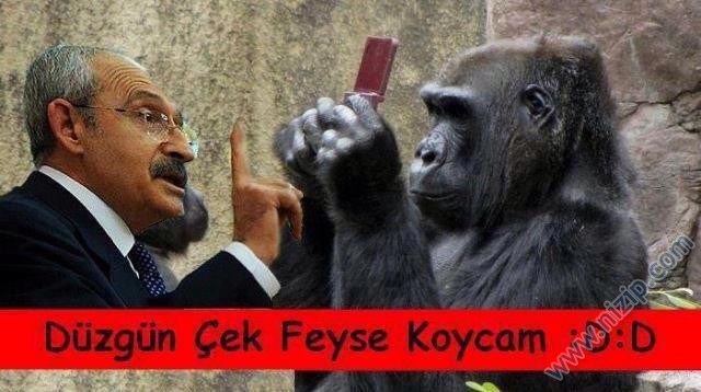 Her güne bir komiklik!.. :))