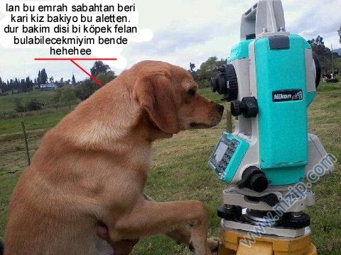Her güne bir komiklik!.. :))