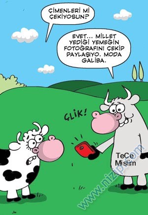Sütaş karikatürleri Nizip.com'da Olursa.