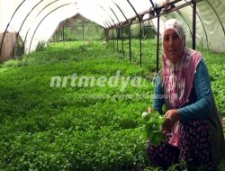 Video: KADIN GİRİŞİMCİLERİN BÜYÜK BAŞARISI Video: KADIN GİRİŞİMCİLERİN BÜYÜK BAŞARISI