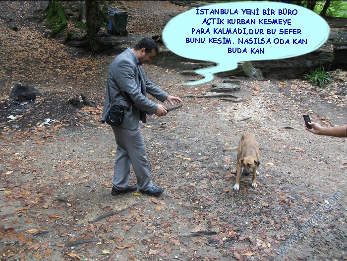 Her güne bir komiklik!.. :))