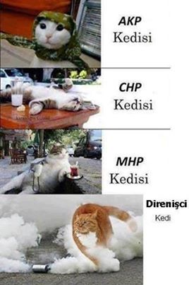 Sütaş karikatürleri Nizip.com'da Olursa.