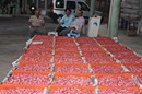 GaziAntep Milletvekilimiz Ali Şahin mesajları