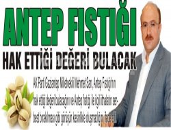Antep Fıstığı Hak Ettiği Değeri Bulacak