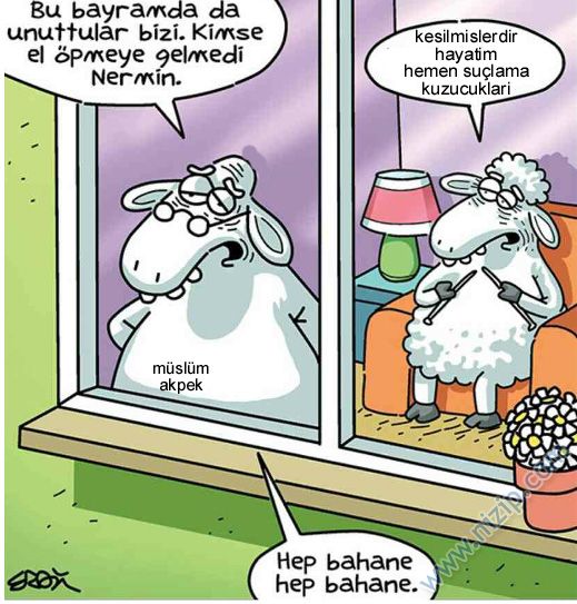 Sütaş karikatürleri Nizip.com'da Olursa.