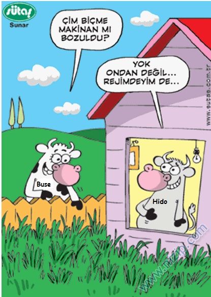 Sütaş karikatürleri Nizip.com'da Olursa.