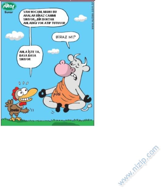 Sütaş karikatürleri Nizip.com'da Olursa.