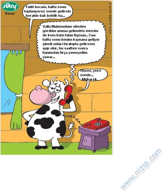Sütaş karikatürleri Nizip.com'da Olursa.